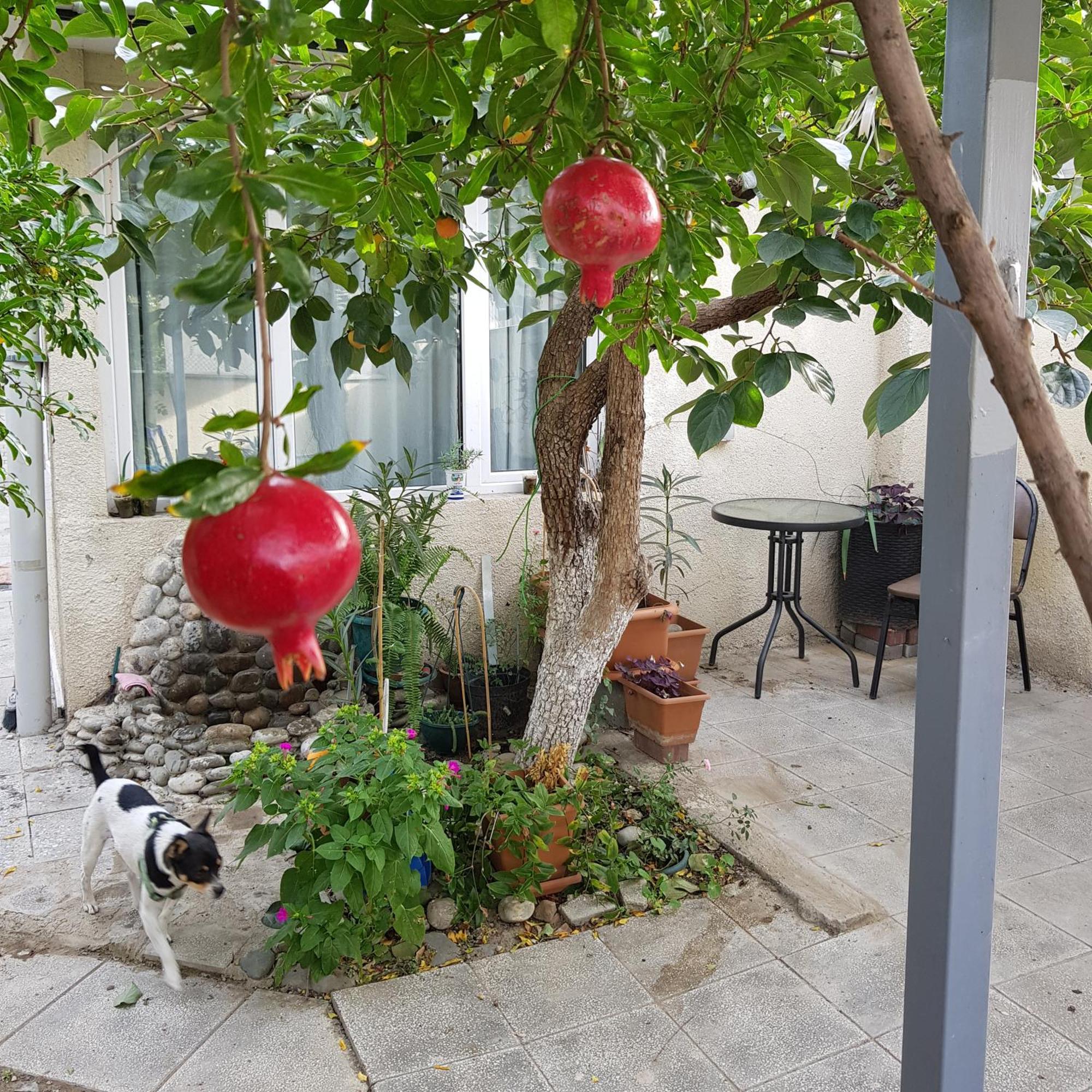 Домик У Куры Hotel Tbilisi Luaran gambar
