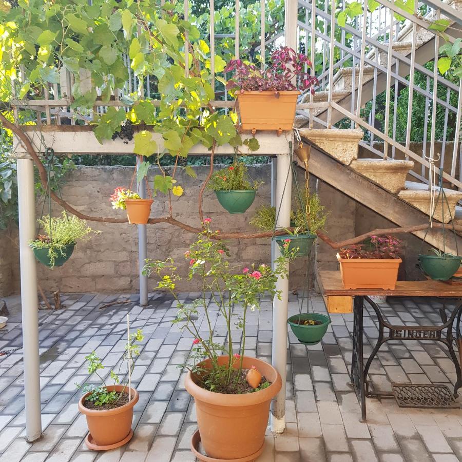 Домик У Куры Hotel Tbilisi Luaran gambar